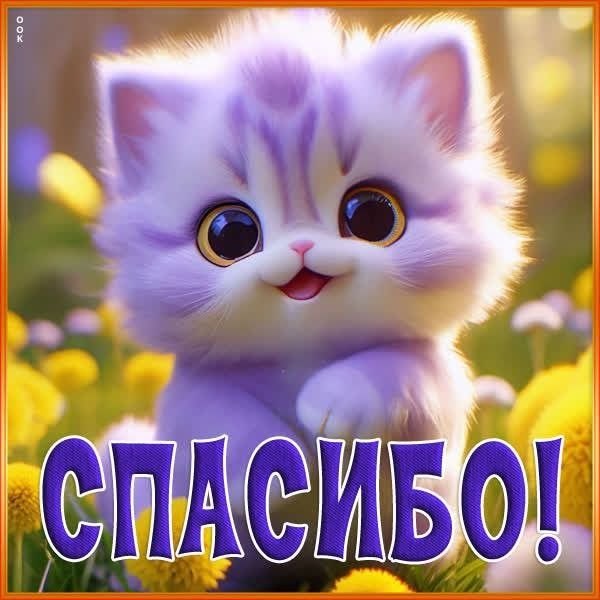 Открытка Спасибо Милый котик Открытки Спасибо №733. Открытки. Готовые открытки Спасибо.