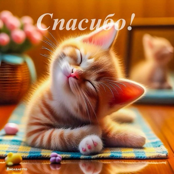 Открытки Спасибо №712. Открытки. Готовые открытки Спасибо.