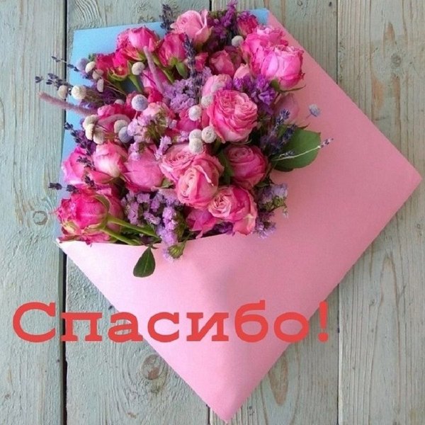 Открытки Спасибо №729. Открытки. Готовые открытки Спасибо.