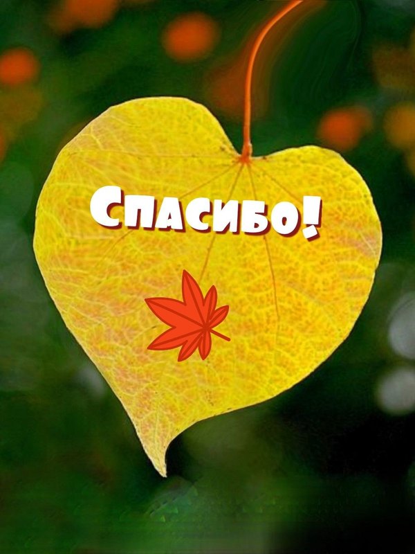 Открытки Спасибо №763. Открытки. Готовые открытки Спасибо.