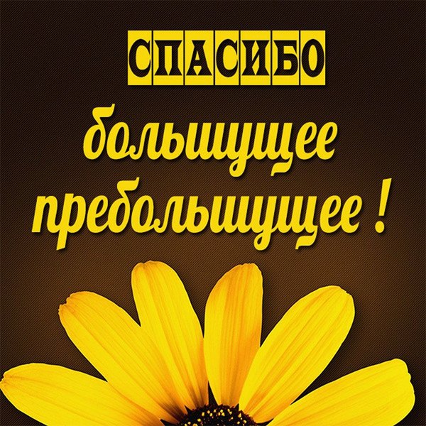 Спасибо большущее пребольшущее. Открытки Спасибо №736. Открытки. Готовые открытки Спасибо.