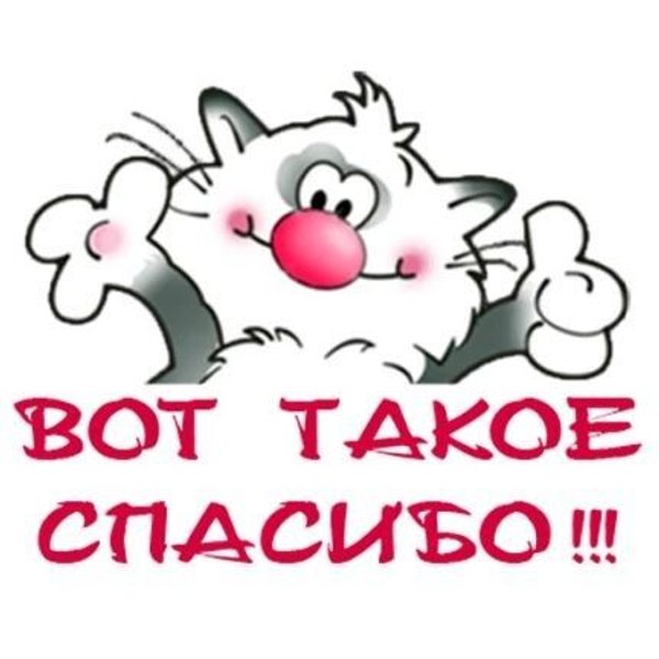 Вот такое спасибо. Открытки Спасибо №723. Открытки. Готовые открытки Спасибо.
