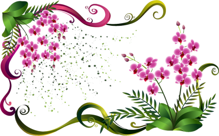 Цветы для открытки на прозрачном фоне №23. Открытки. Рамки для открыток своими руками на день матери.