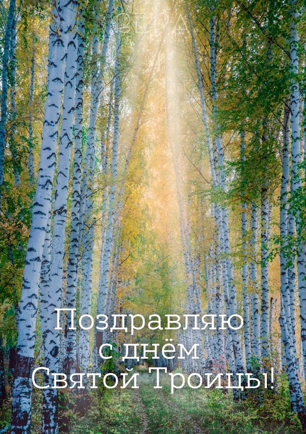 Поздравляю с днём Святой Троицы. Открытки С Днем Святой Троицы №1161. Открытки. Готовые открытки с Днем Святой Троицы.