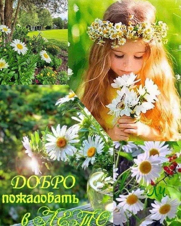 Добро пожаловать в лето. Открытки С первым днем лета №833. Открытки. Готовые открытки с первым днем лета.
