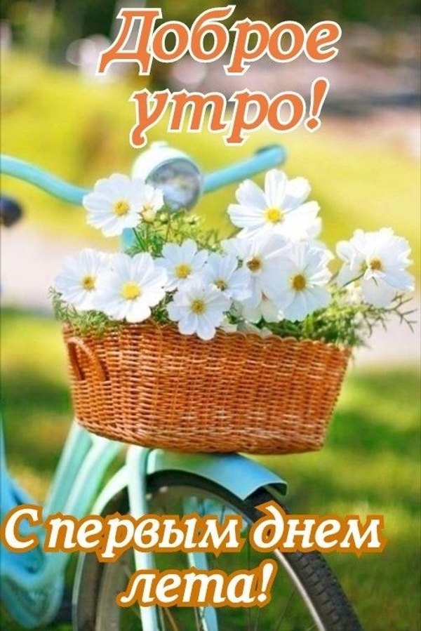 Доброе утро. С Первым днем лета. Открытки С первым днем лета №828. Открытки. Готовые открытки с первым днем лета.