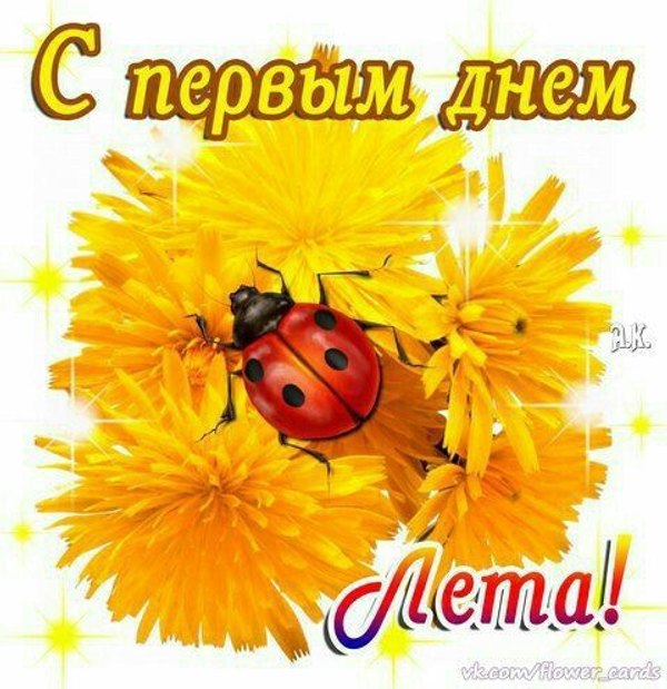 Открытки С первым днем лета №853. Открытки. Готовые открытки с первым днем лета.