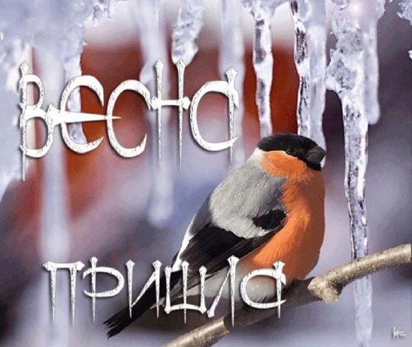 Картинка Весна пришла. Открытки С Весной №1079. Открытки. Готовые открытки с весной.