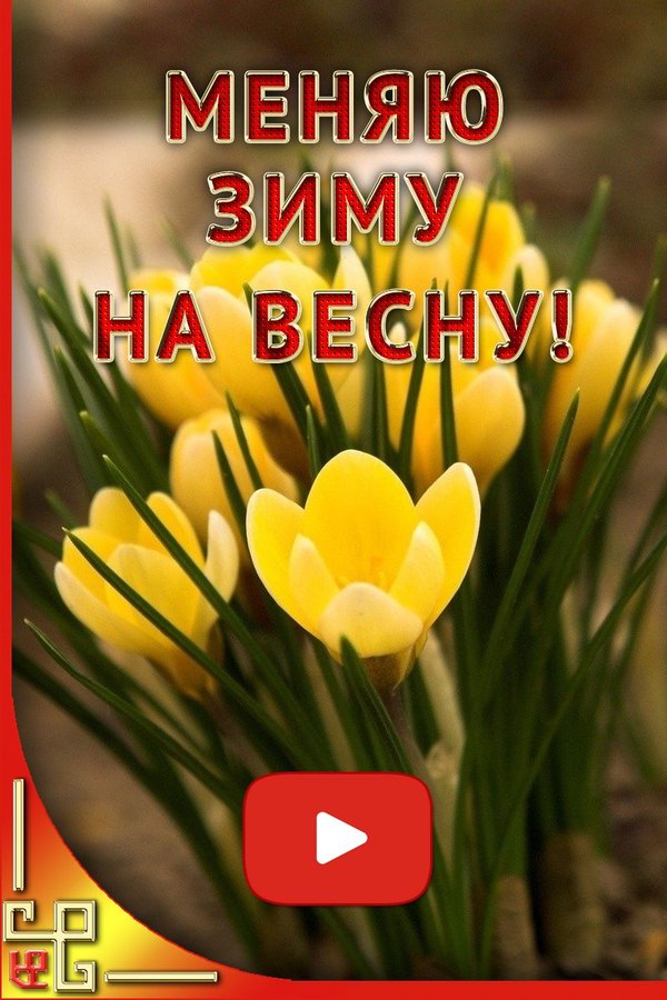 Меняю зиму на весну Открытки С Весной №1052. Открытки. Готовые открытки с весной.