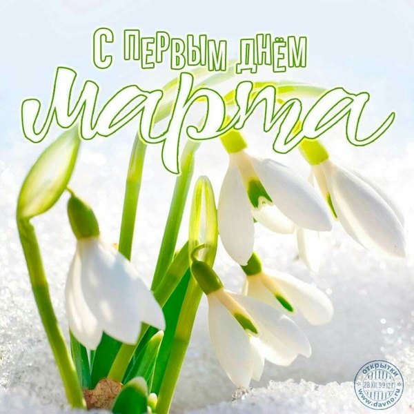 Открытка С первым днём марта. Открытки С Весной №1123. Открытки. Готовые открытки с весной.