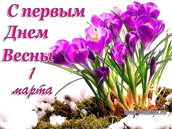 Открытка С первым днём весны 1 марта. Открытки С Весной №1102. Открытки. Готовые открытки с весной.