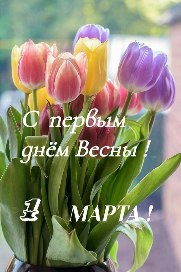 Открытка С первым днём весны 1 марта. Открытки С Весной №1056. Открытки. Готовые открытки с весной.