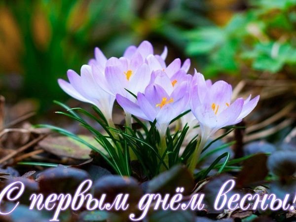 Открытка С первым днём весны. Открытки С Весной №1106. Открытки. Готовые открытки с весной.