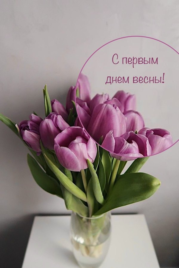 Открытка С первым днем весны. Открытки С Весной №1109. Открытки. Готовые открытки с весной.