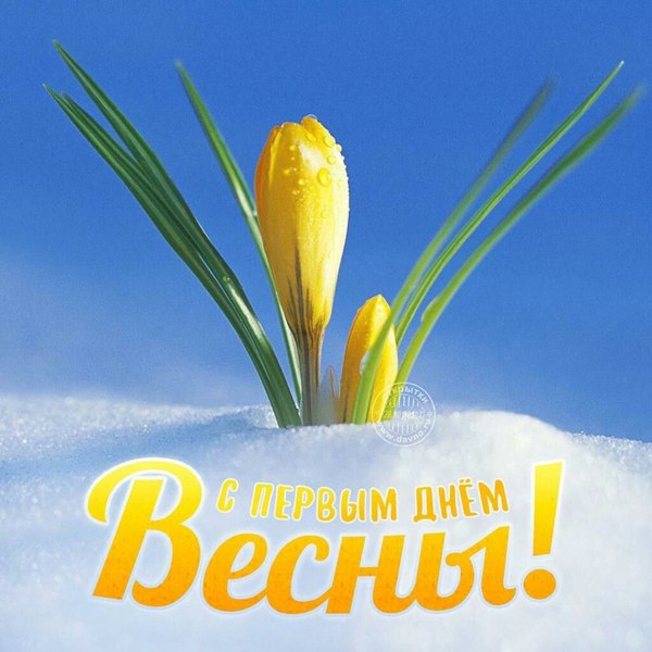 Открытка С первым днём Весны. Открытки С Весной №1121. Открытки. Готовые открытки с весной.
