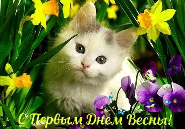 Открытка С первым днём весны. Открытки С Весной №1122. Открытки. Готовые открытки с весной.