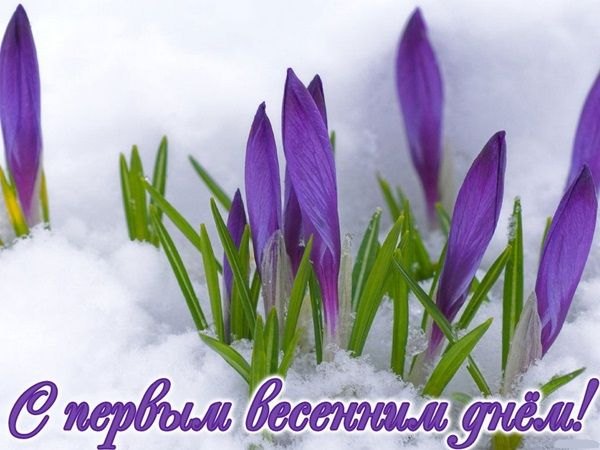 Открытка С первым весенним днём. Открытки С Весной №1099. Открытки. Готовые открытки с весной.