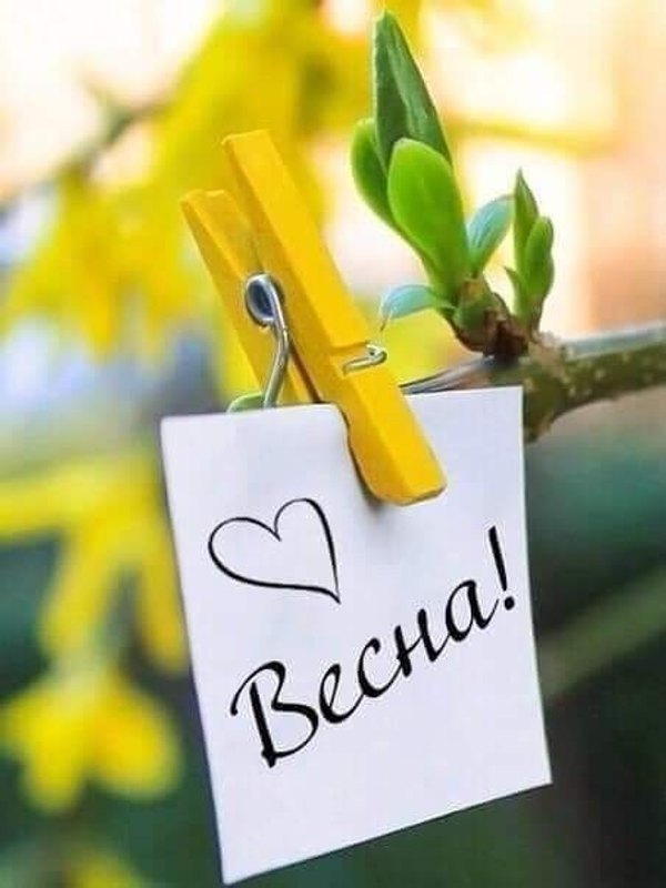Открытки С Весной №1066. Открытки. Готовые открытки с весной.