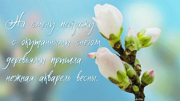 Открытки С Весной №1094. Открытки. Готовые открытки с весной.