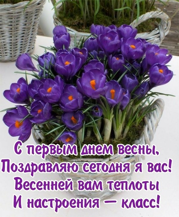 Поздравляю С первым днём весны. Открытки С Весной №1069. Открытки. Готовые открытки с весной.