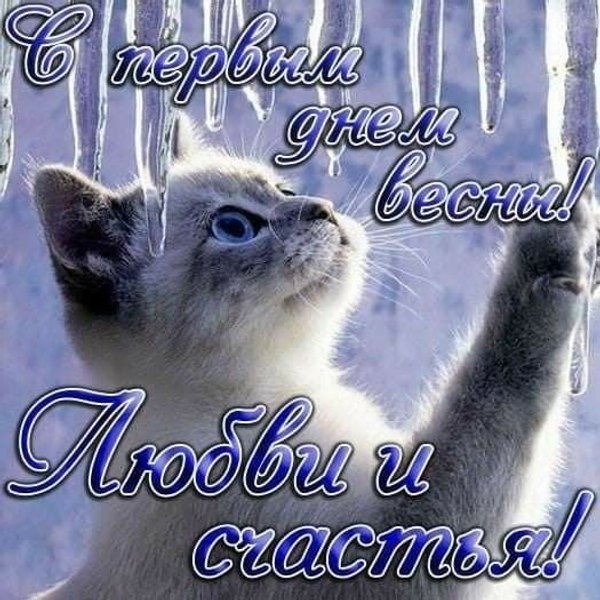С первым днём весны. Любви и счастья. Открытки С Весной №1077. Открытки. Готовые открытки с весной.