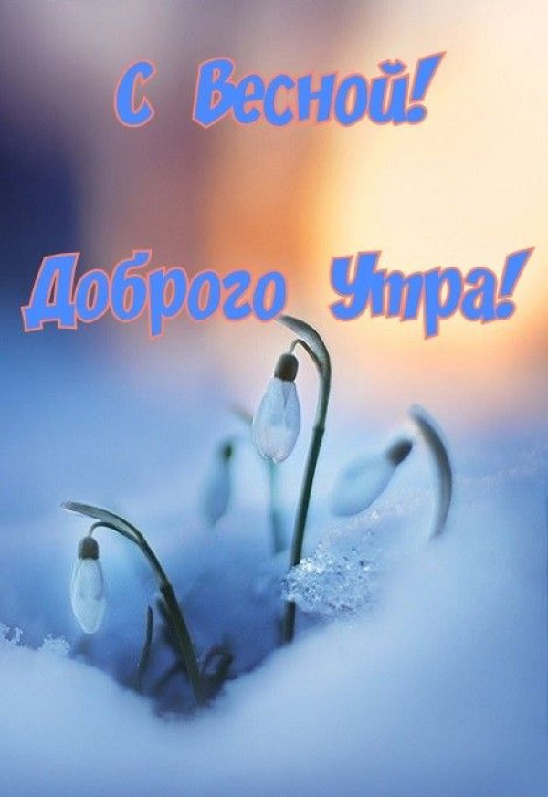 С весной. Доброго утра. Открытки С Весной №1051. Открытки. Готовые открытки с весной.