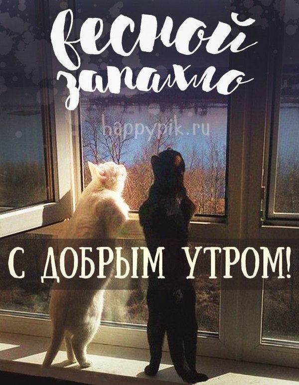 Весной запахло. С добрым утром. Открытки С Весной №1075. Открытки. Готовые открытки с весной.