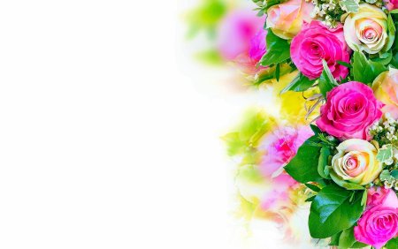 Фон цветы, розы, с днем рождения, фон №74. Открытки. Шаблоны открыток на день рождения женщине.