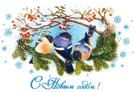 Новогодние открытки исторические, открытки со снегирями №282. Открытки. Советские открытки на новый год.