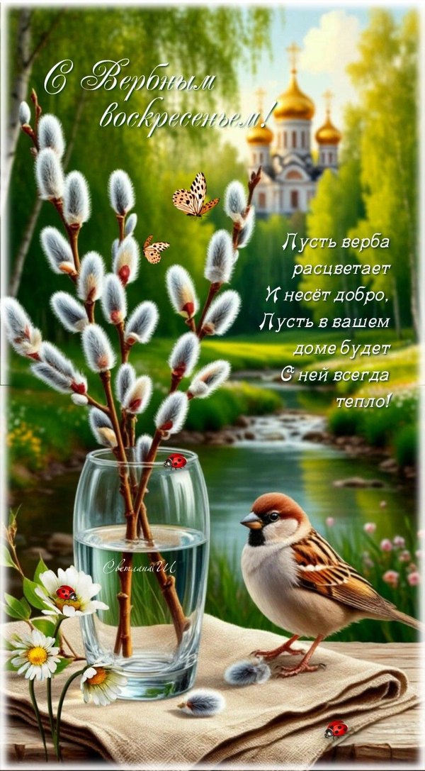 Красивая открытка С Вербным Воскресеньем. Весна, природа. Открытки на Вербное Воскресенье №1049. Открытки. Готовые открытки Вербное Воскресенье.
