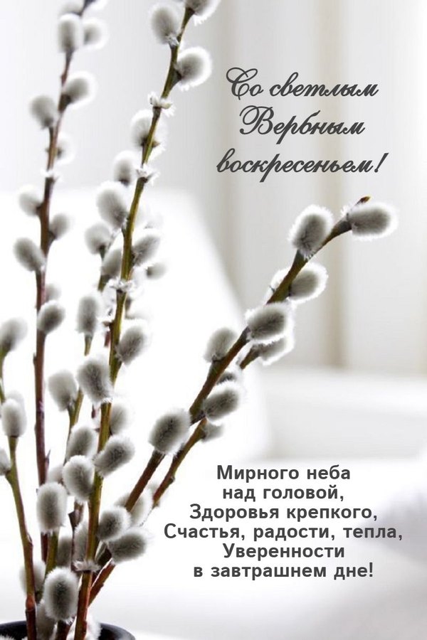 Открытка Со Светлым Вербным Воскресеньем. Открытки на Вербное Воскресенье №1009. Открытки. Готовые открытки Вербное Воскресенье.