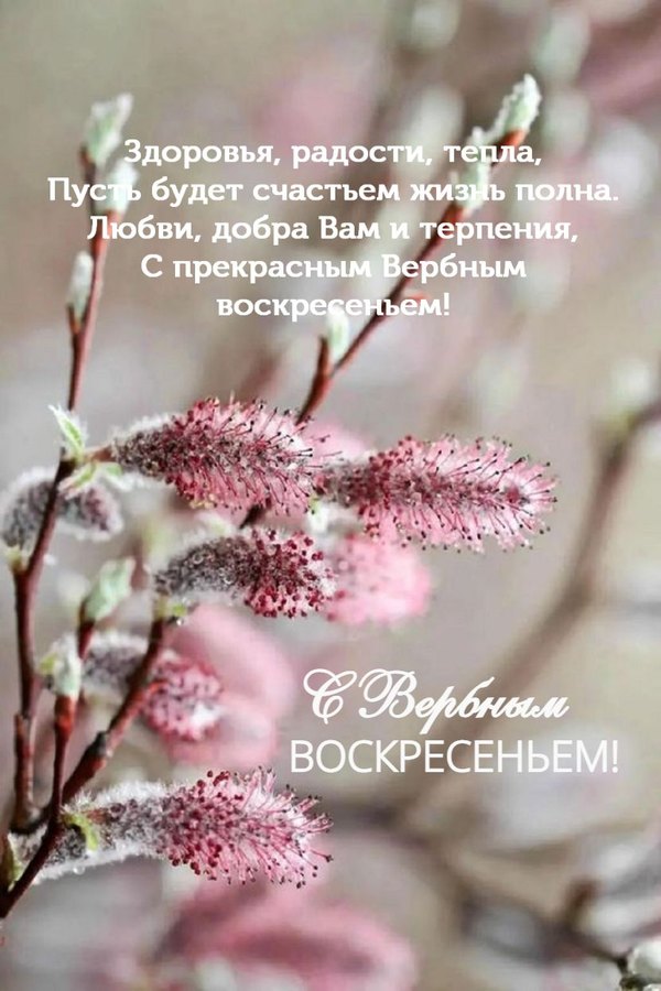 Открытки на Вербное Воскресенье №1020. Открытки. Готовые открытки Вербное Воскресенье.