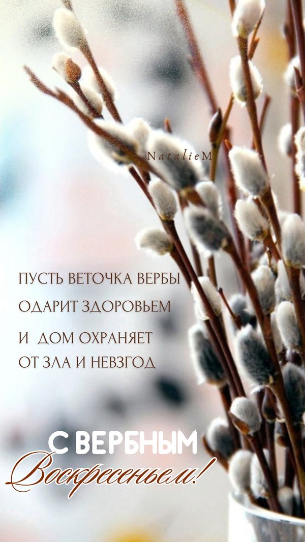 Пусть веточка вербы одарит здоровьем и дом охраняет от зла и невзгод. Открытки на Вербное Воскресенье №1030. Открытки. Готовые открытки Вербное Воскресенье.