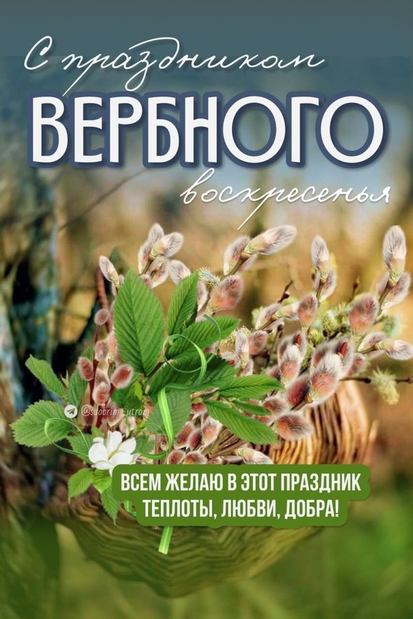 С Праздником Вербного Воскресенья. Желаю теплоты, любви, добра. Открытки на Вербное Воскресенье №1043. Открытки. Готовые открытки Вербное Воскресенье.