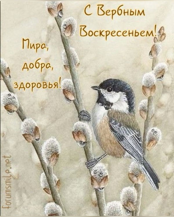 С Вербным Воскресеньем. Мира, добра, здоровья. Открытки на Вербное Воскресенье №1028. Открытки. Готовые открытки Вербное Воскресенье.