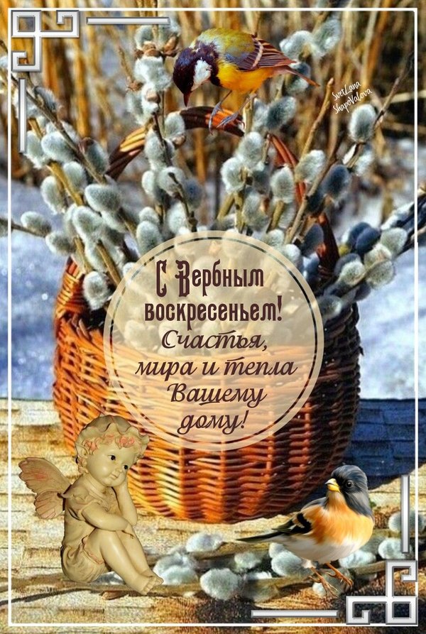 С Вербным Воскресеньем. Счастья мира и тепла вашему дому. Открытки на Вербное Воскресенье №1040. Открытки. Готовые открытки Вербное Воскресенье.