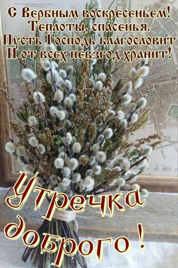 С Вербным Воскресеньем. Утречка доброго. Открытки на Вербное Воскресенье №1026. Открытки. Готовые открытки Вербное Воскресенье.