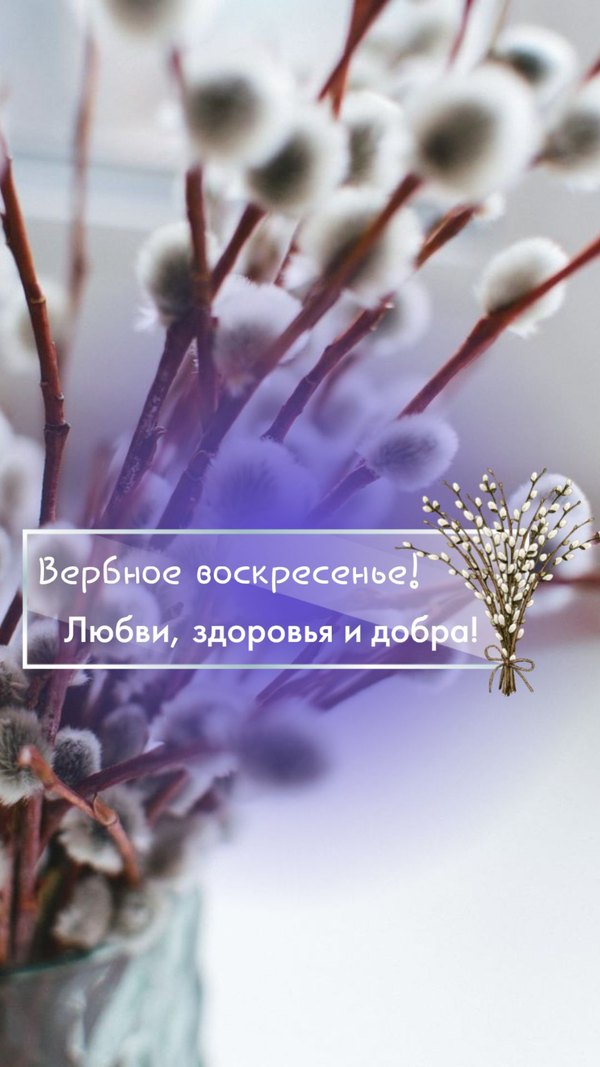 Вербное Воскресенье. Любви, здоровья, добра. Открытки на Вербное Воскресенье №1037. Открытки. Готовые открытки Вербное Воскресенье.