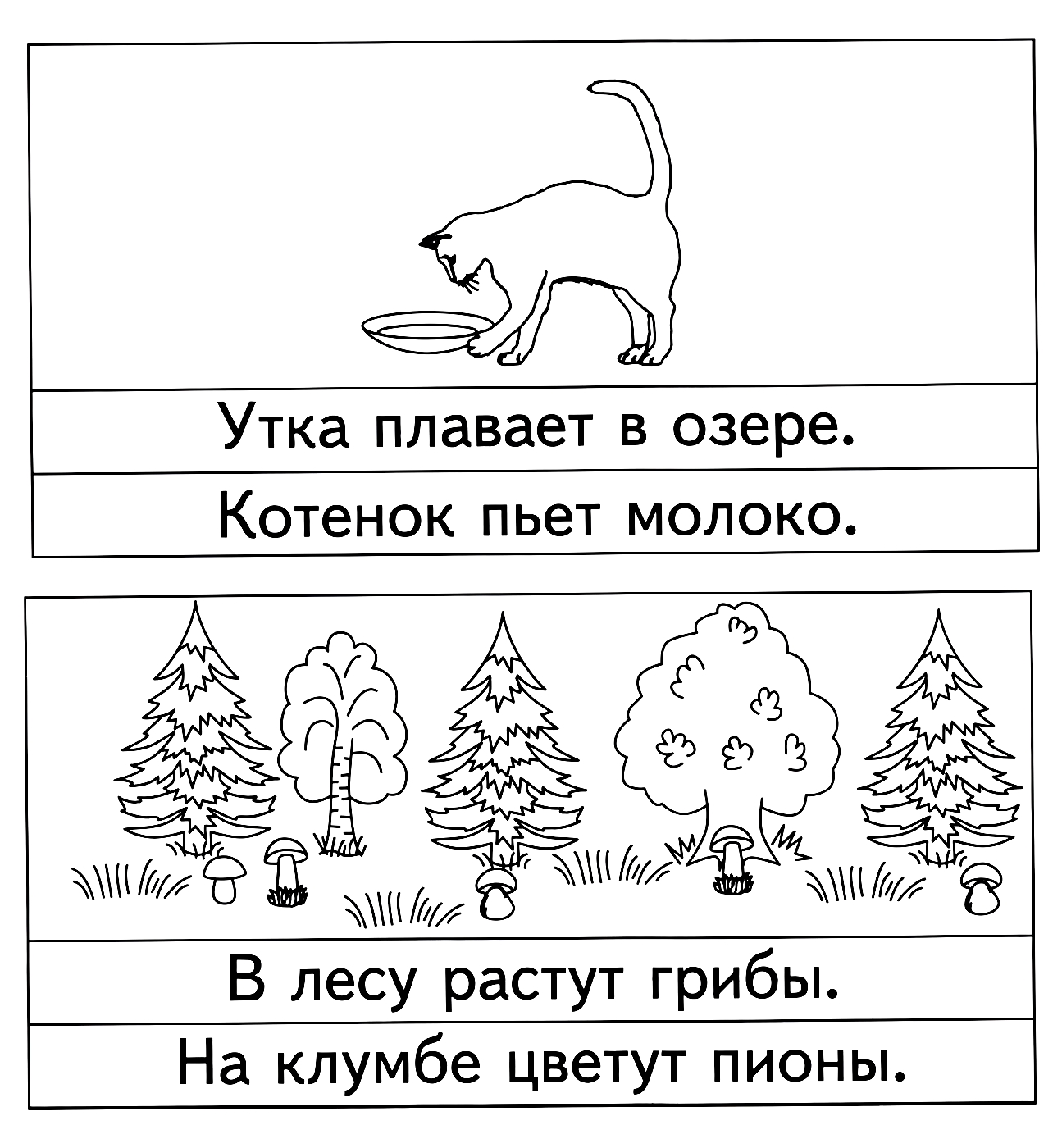 Прочитай предложения №1424. Развивающие задания (ассорти). Развивающие задания для детей 6 и 7 лет.