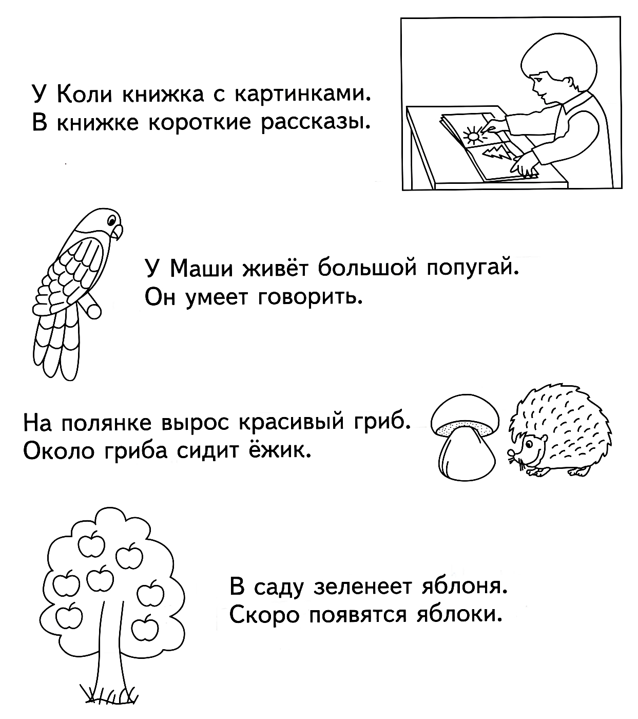 Прочитай предложения №1417. Развивающие задания (ассорти). Развивающие задания для детей 6 и 7 лет.