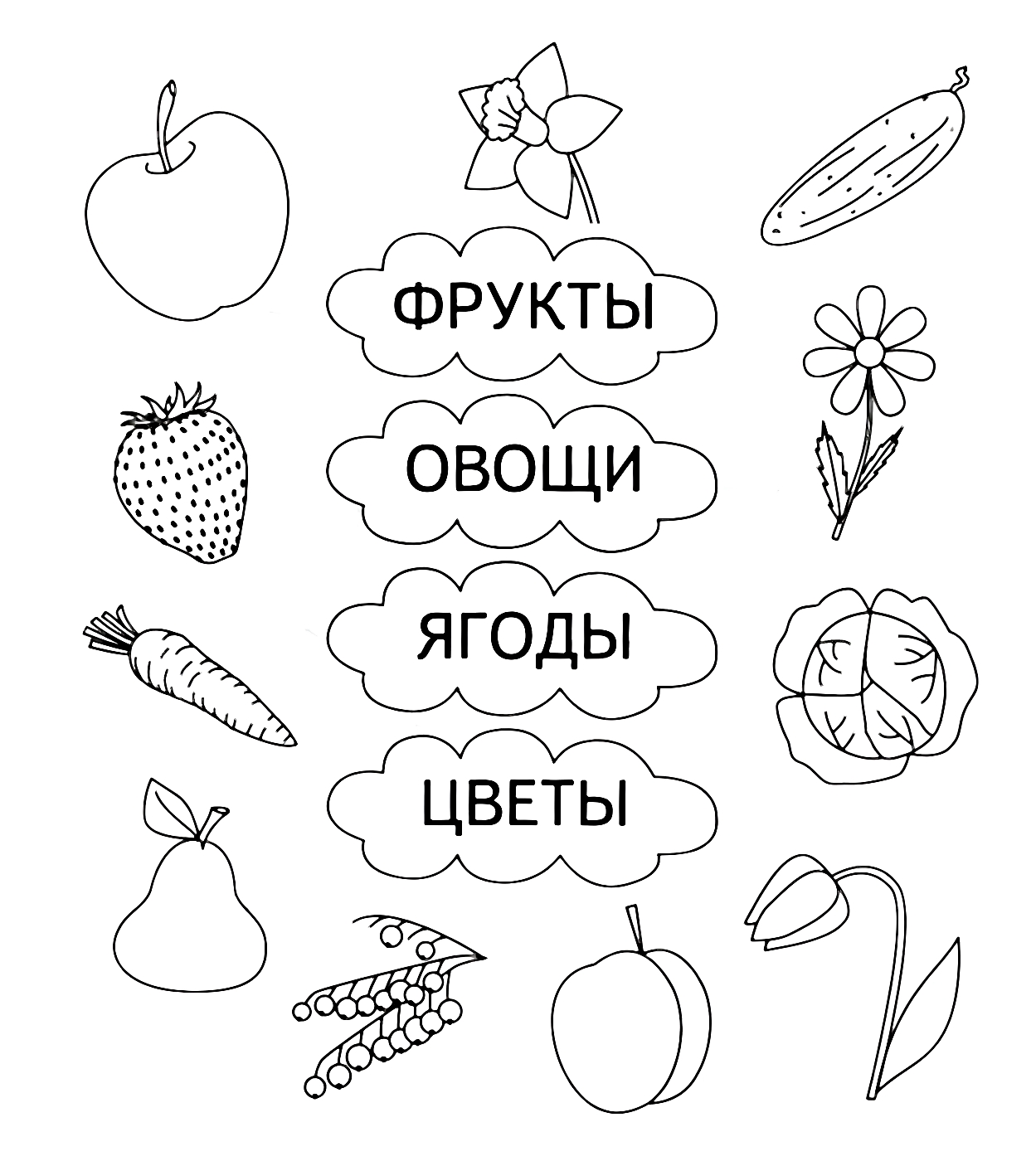 Прочитай слова, найди подходящие картинки. Задание на чтение и логику. Распечатать бесплатно №1471. Развивающие задания (ассорти). Развивающие задания для детей 6 и 7 лет.