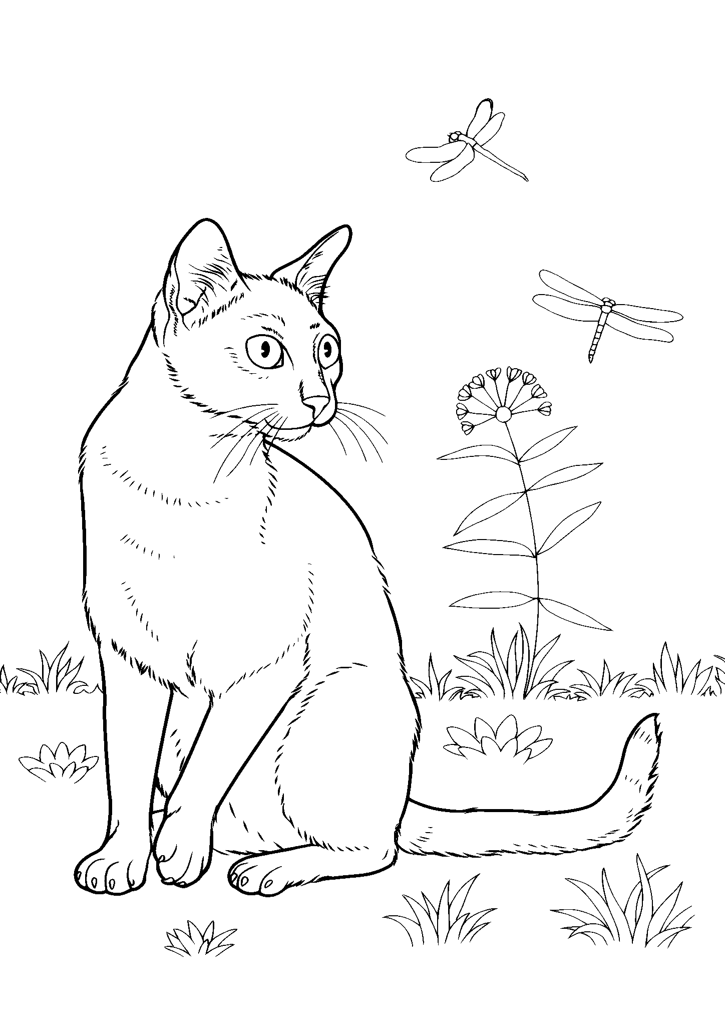 Кошка и стрекозы №2846. Популярные раскраски. Коты, кошки, котята.
