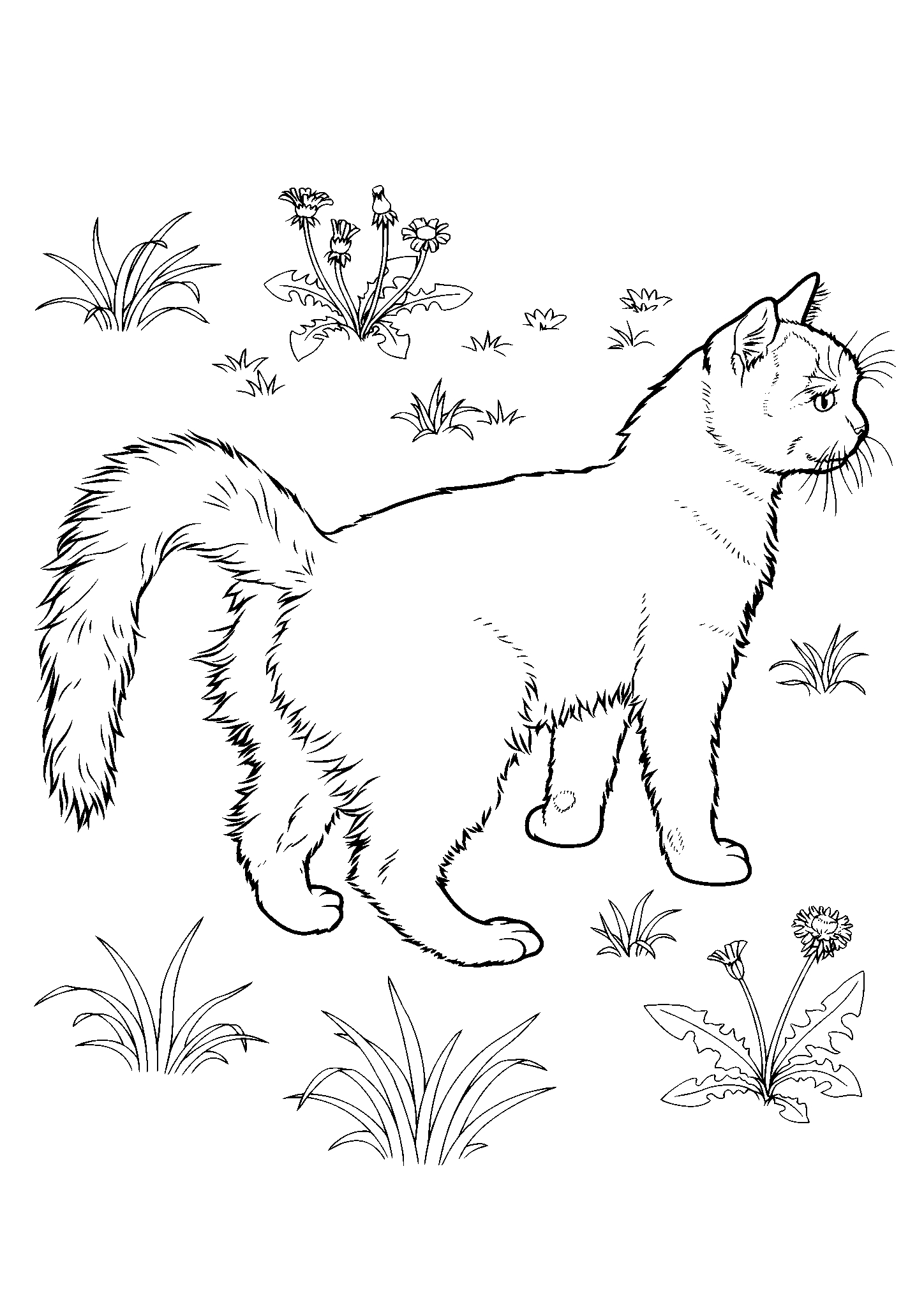 Кошка на прогулке №2848. Популярные раскраски. Коты, кошки, котята.