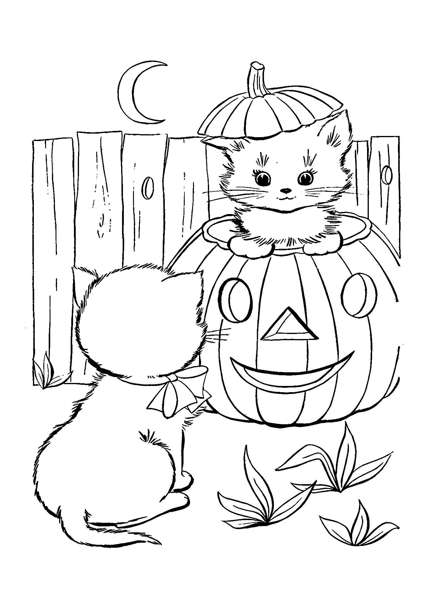 Кошки готовятя к Хеллоуину №2851. Популярные раскраски. Коты, кошки, котята.