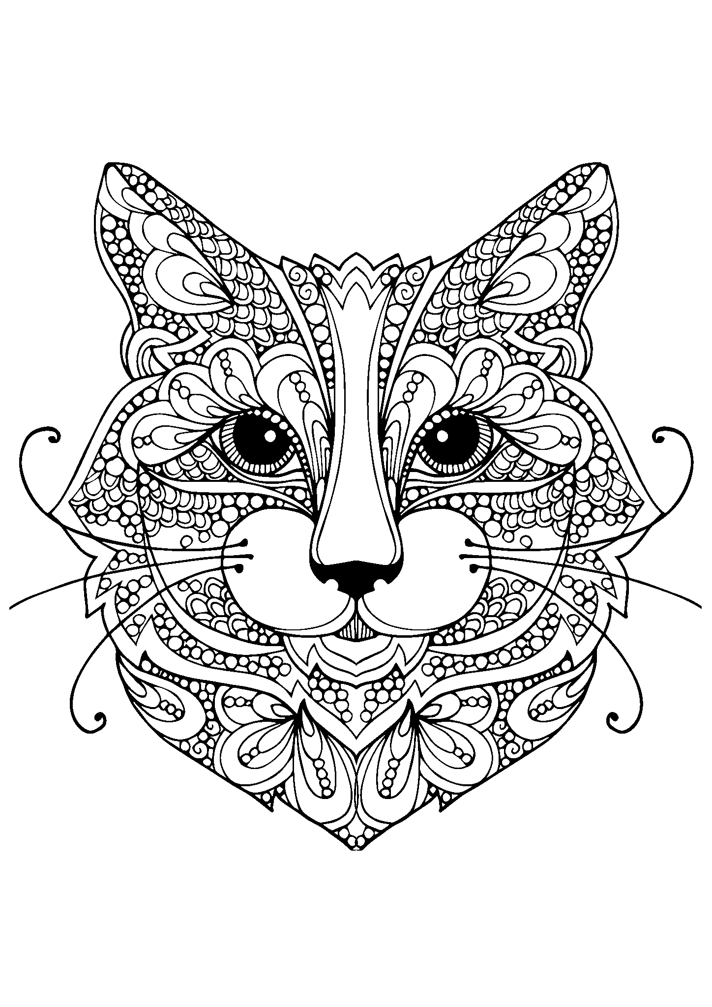 Котофей №2829. Популярные раскраски. Коты, кошки, котята.