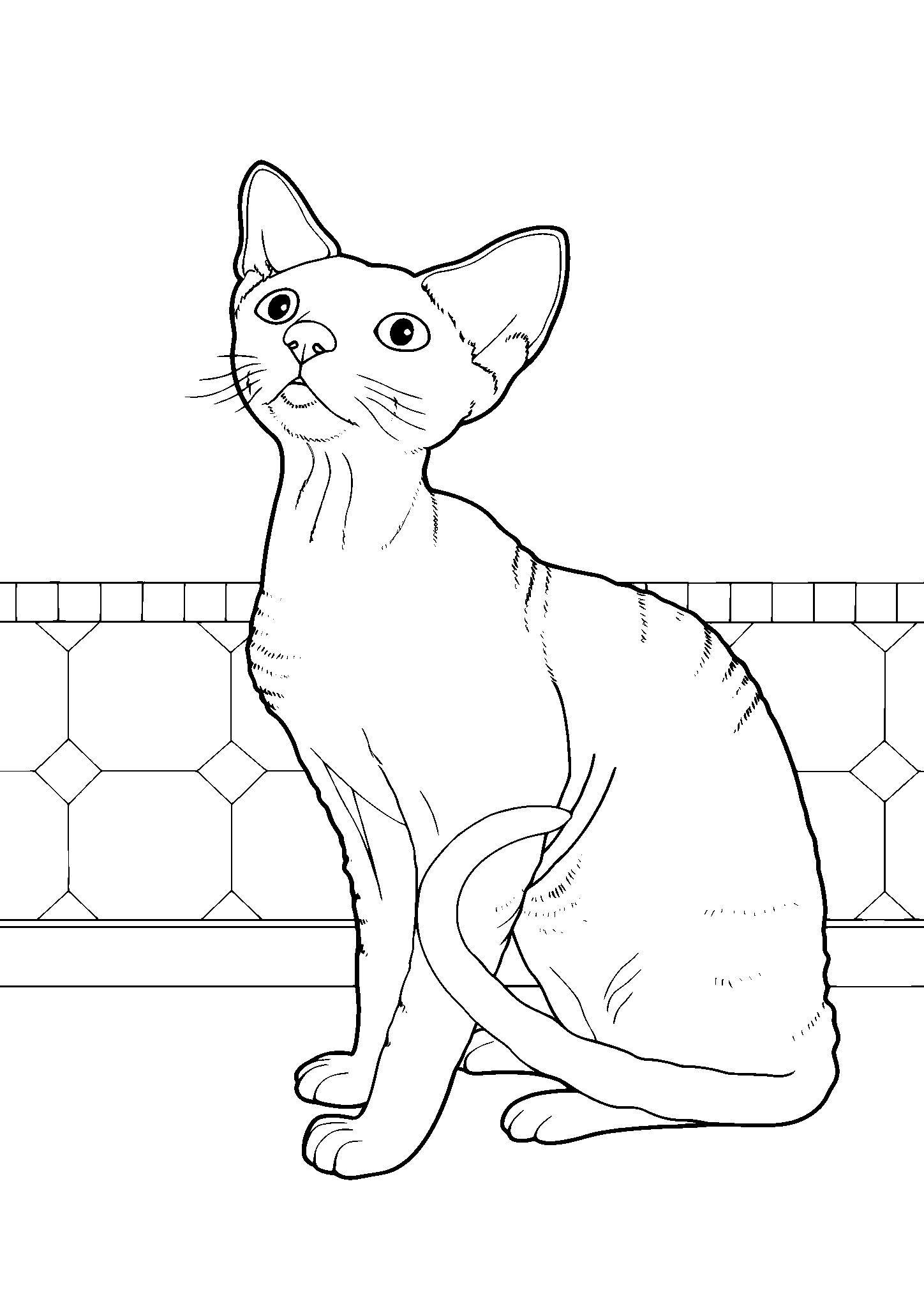 Наблюдающий сфинкс №2861. Популярные раскраски. Коты, кошки, котята.