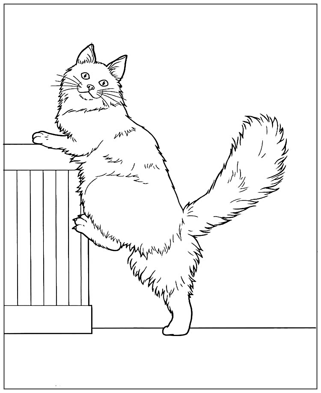 Кошка с пушистым хвостом №1923. Популярные раскраски. Коты, кошки, котята.