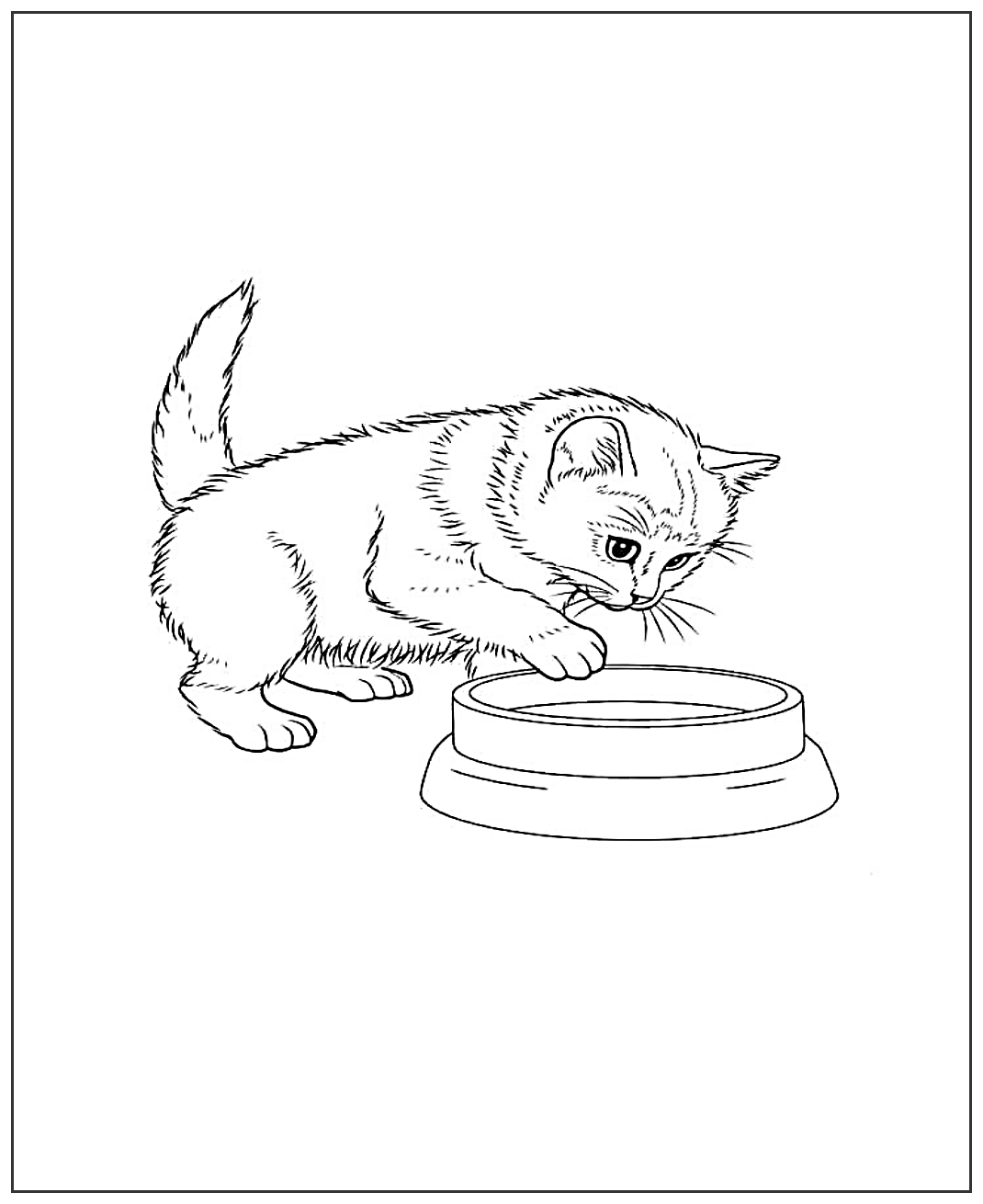 Котенок с миской №1928. Популярные раскраски. Коты, кошки, котята.