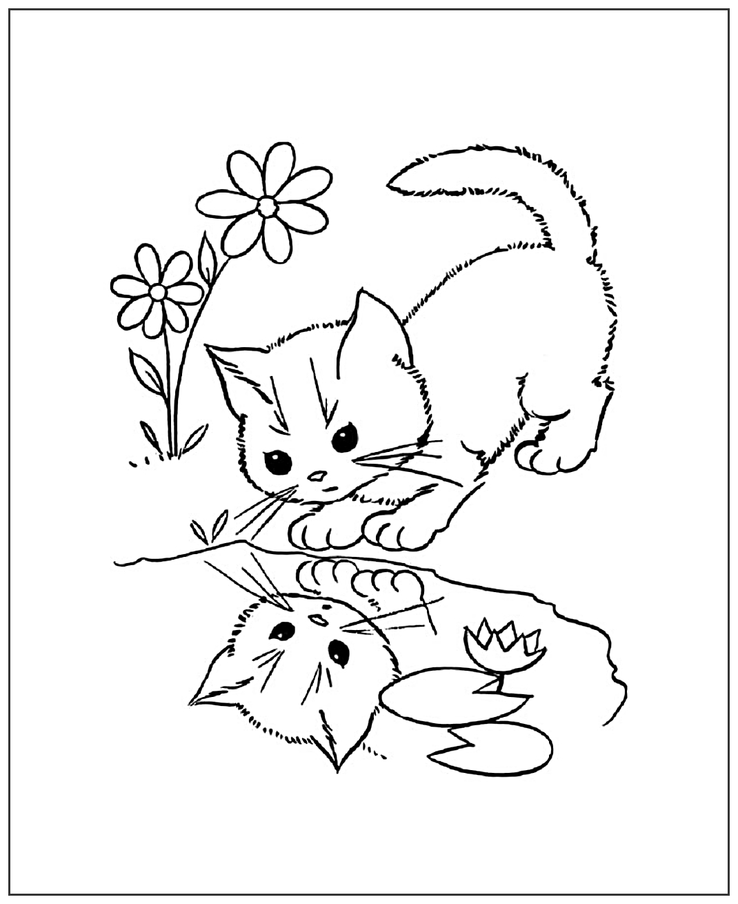 Котенок смотрит на отражение №2050. Популярные раскраски. Коты, кошки, котята.