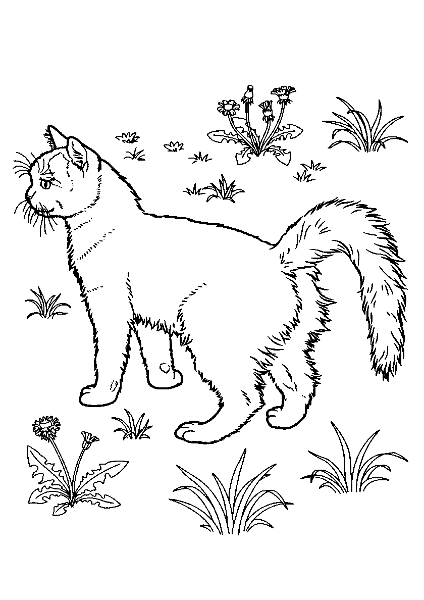 Кошка на прогулке №101. Популярные раскраски. Коты, кошки, котята.